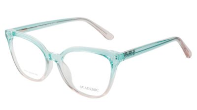 Academic 8081